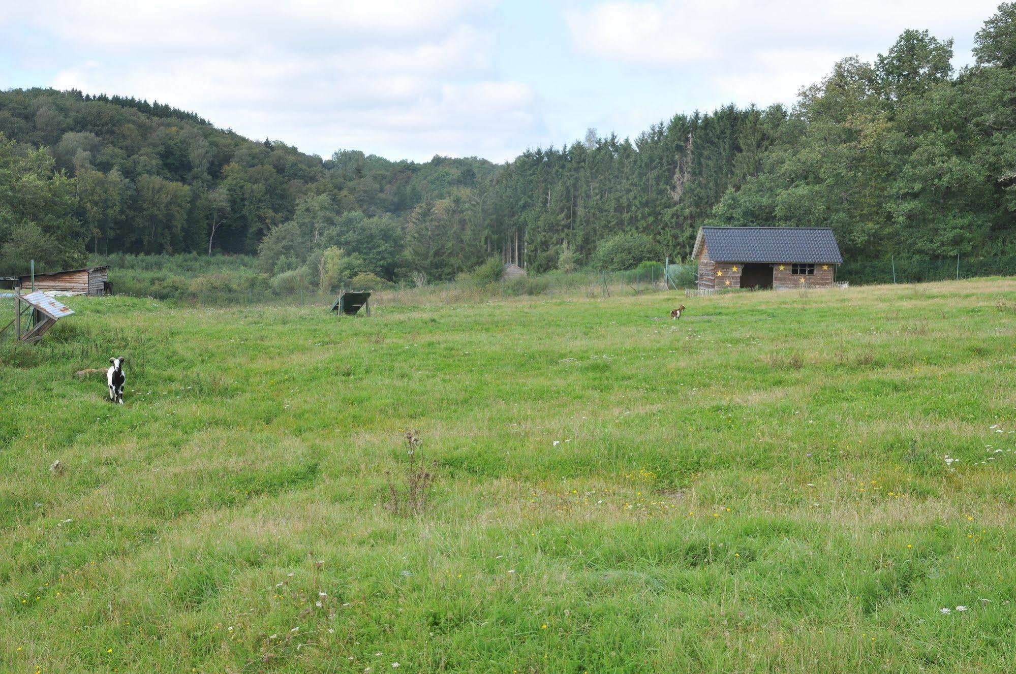 Le Bochetay 13 Villa Somme-Leuze Kültér fotó